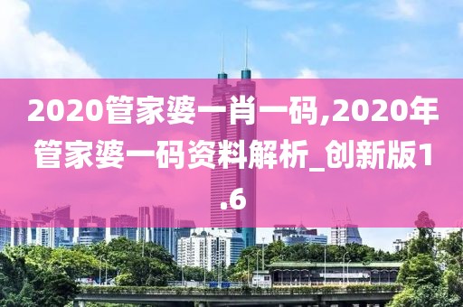 2020管家婆一肖一码,2020年管家婆一码资料解析_创新版1.6