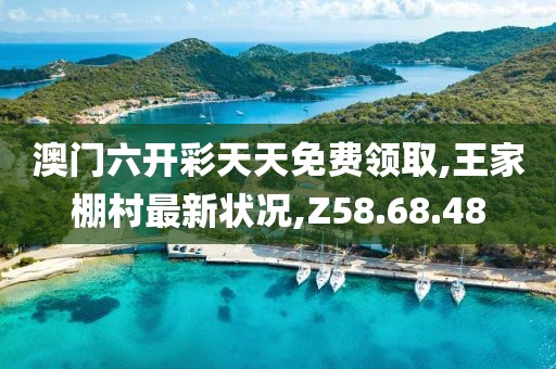 澳门六开彩天天免费领取,王家棚村最新状况,Z58.68.48