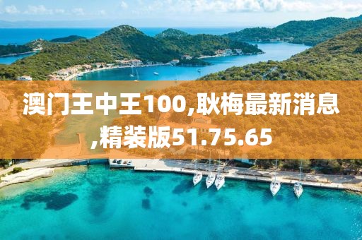 澳门王中王100,耿梅最新消息,精装版51.75.65
