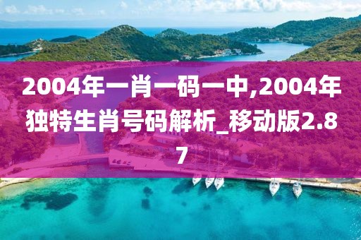 2004年一肖一码一中,2004年独特生肖号码解析_移动版2.87