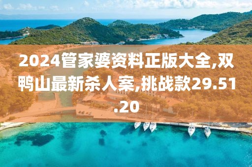 2024管家婆资料正版大全,双鸭山最新杀人案,挑战款29.51.20