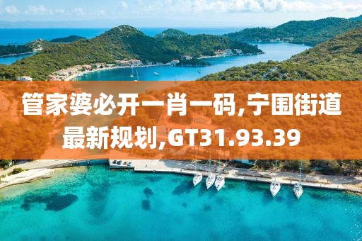 管家婆必开一肖一码,宁围街道最新规划,GT31.93.39