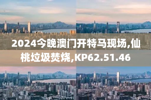 2024今晚澳门开特马现场,仙桃垃圾焚烧,KP62.51.46