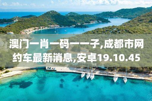 澳门一肖一码一一子,成都市网约车最新消息,安卓19.10.45