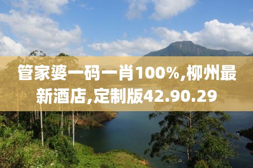 管家婆一码一肖100%,柳州最新酒店,定制版42.90.29