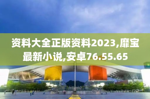 资料大全正版资料2023,靡宝最新小说,安卓76.55.65