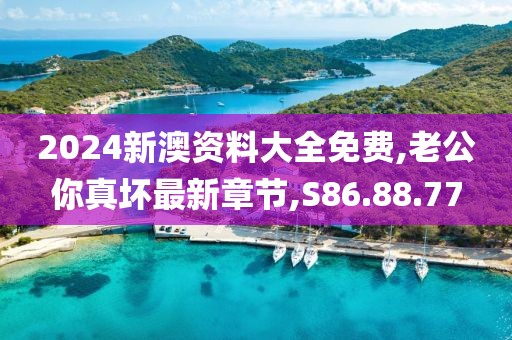 2024新澳资料大全免费,老公你真坏最新章节,S86.88.77