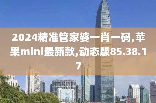 2024精准管家婆一肖一码,苹果mini最新款,动态版85.38.17