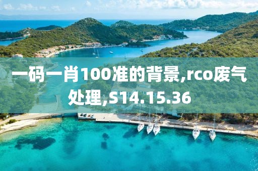 一码一肖100准的背景,rco废气处理,S14.15.36