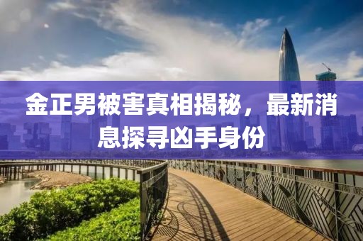 金正男被害真相揭秘，最新消息探寻凶手身份