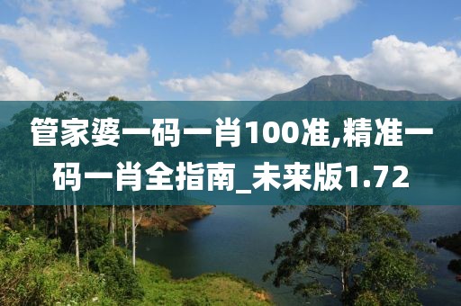 管家婆一码一肖100准,精准一码一肖全指南_未来版1.72