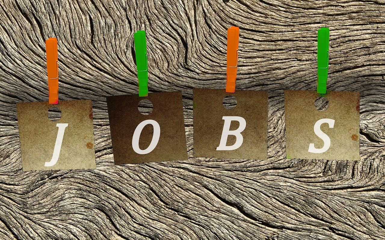 岳阳最新招聘动态与职业机会解析报告