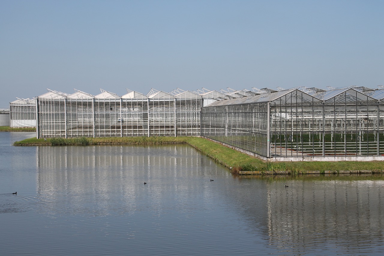河间最新重大项目，推动城市发展的强大引擎