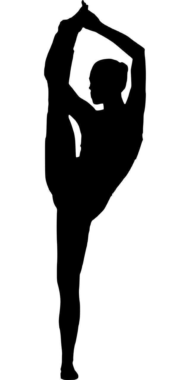 最新减肥舞蹈，舞动健康，塑造迷人身材